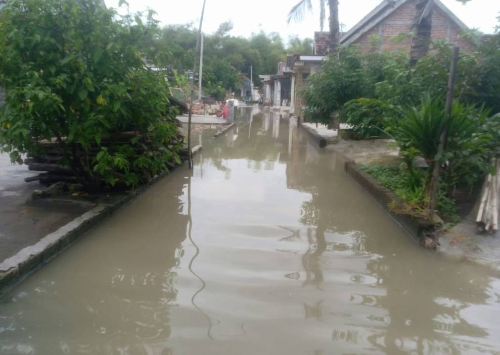 WhatsApp Image 2026 03 25 at 2.13.43 PM