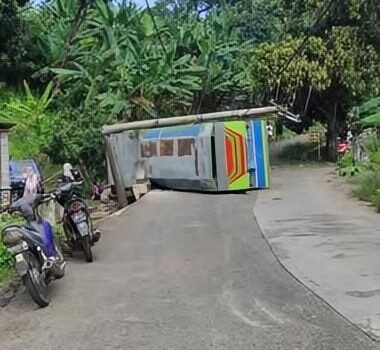 WhatsApp Image 2026 03 28 at 1.53.52 PM