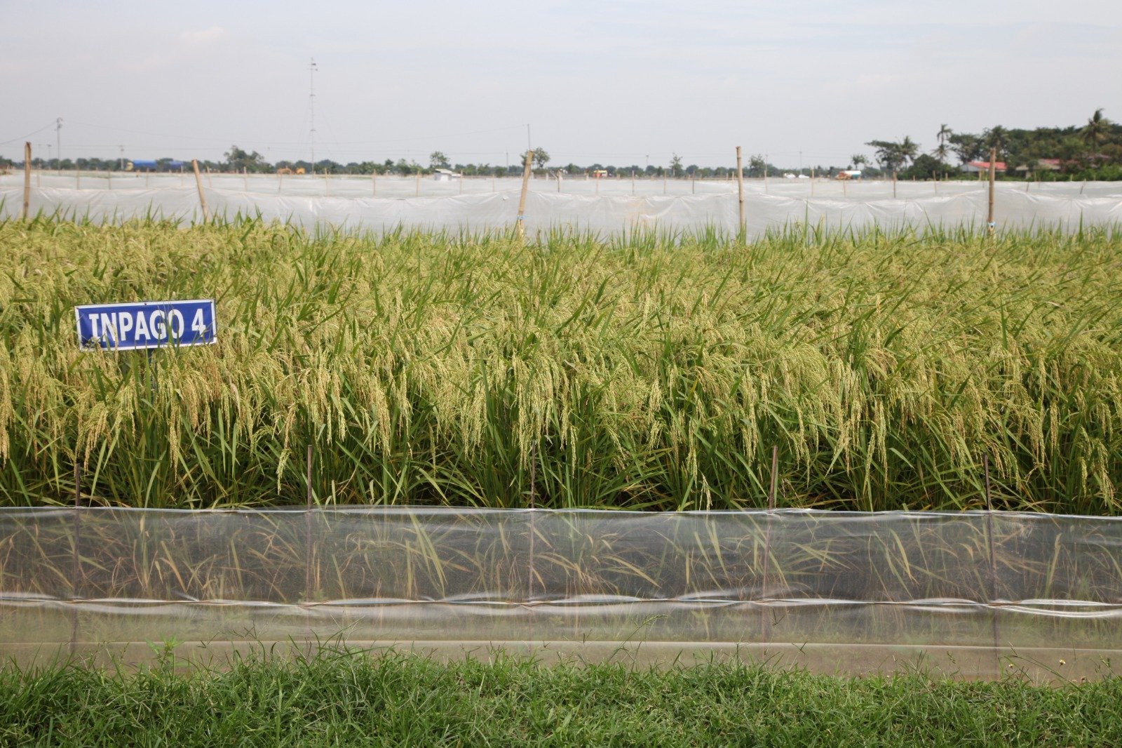 aa155749 02e0 409a 92db d7f4de7e724a