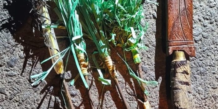 WhatsApp Image 2026 04 19 at 12.33.08 PM