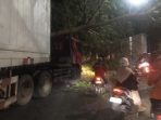 Pohon tumbang timpa truk di Gresik.