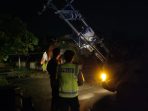 Kondisi tiang listrik roboh usai diterjang angin puting beliung di Desa Tawangrejo, Turi, Lamongan.
