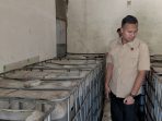 Kanit Tipidter Satreskrim Polres Gresik Iptu Komang Andhika Haditya Prabu menindak gudang penimbunan solar bersubsidi di Desa Ngemboh, Kecamatan Ujungpangkah. Kanit Tipidter Satreskrim Polres Gresik Iptu Komang Andhika Haditya Prabu menindak gudang penimbunan solar bersubsidi di Desa Ngemboh, Kecamatan Ujungpangkah.