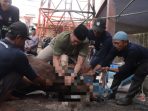 Kapolres Lamongan AKBP Arif Fazlurrahman menyembelih sapi kurban jenis Limusin seberat 1,2 ton. Kapolres Lamongan AKBP Arif Fazlurrahman menyembelih sapi kurban jenis Limusin seberat 1,2 ton.