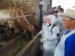 Gubernur Jatim Khofifah Indar Parawansa bersama Bupati Lamongan Yuhronur Efendi meninjau hewan kurban.