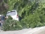 Kondisi mobil tertimpa pohon tumbang di Sumengko, Wringinanom, Gresik.