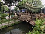 Satpol PP Sidoarjo menindak lapak pedagang hewan kurban yang ada di bantaran sungai. (Foto: Ist)