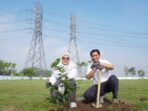 PLN tanam pohon