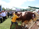 Pameran sapi di Kedungasri, Tegaldlimo, Banyuwangi.
