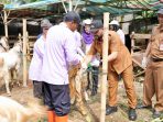 IMG 20260521 WA0013 1