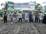 Tanam Raya varietas unggul lokal. (ist)
