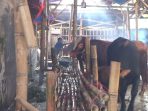 Salah satu tempat pedagang hewan kurban di Jember. (Ist)