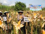 IMG-20260525-WA0006 Polres Magetan Panen Raya Jagung Kuartal II 2026