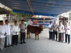 IMG-20260526-WA0031 AKBP Ardi Kurniawan saat menyalurkan sapi kurban bantuan Kapolda Jatim ke dua pondok pesantren di Jombang. (istimewa)
