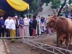 Wali kota Adi Wibowo serahkan bantuan kurban