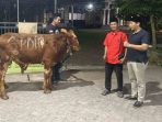 PDI Perjuangan Jombang salurkan hewan kurban untuk masyarakat di Peterongan dan Diwek.(Teguh)