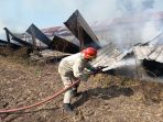 IMG-20260529-WA0034 Kebakaran kandang kambing di Dusun Caruban, Jogoroto, Jombang berhasil dipadamkan petugas Damkar bersama warga.(istimewa)
