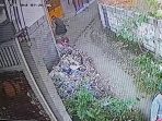 WhatsApp Image 2026 05 13 at 1.01.56 PM
