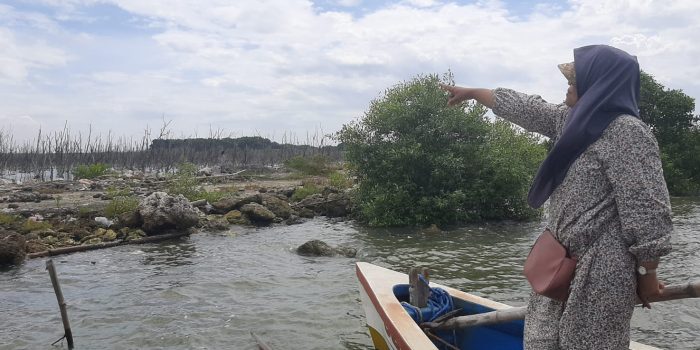 Banyak Mangrove Mati di Perairan Manyarejo Gresik, Ecoton Curiga Ada Urukan Limbah B3 untuk Reklamasi 1 WhatsApp Image 2026 05 21 at 2.44.30 PM
