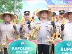 Kapolres Gresik AKBP Ramadhan Nasution saat memimpin panen raya jagung di Prupuh, Panceng.