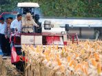 Panen raya jagung oleh Presiden Prabowo Subianto di Tuban.