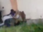Tangkapan layar video sejoli diduga mesum gemparkan medsos Gresik. Tangkapan layar video sejoli diduga mesum gemparkan medsos Gresik.