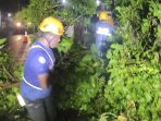 Petugas membersihkan pohon tumbang yang menghalangi jalan di Kaliwates, Jember. (Foto: Ist)
