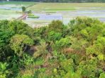 Dusun Ngengkreng Dusun Ngengkreng