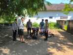 Anggota Polsek amankan ayam aduan.