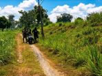 Area persawahan Dusun Sekarputih, Desa Sonobekel, tempat terjadinya pembacokan terhadap pengantin baru.