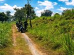 Lokasi kejadian di jalan tangkis Dusun Sekarputih, Desa Sonobekel, Kecamatan Tanjunganom, tempat terjadinya pembacokan.