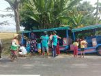 Kereta kelinci mengalami kecelakaan tunggal dengan menabrak pohon.(istimewa)
