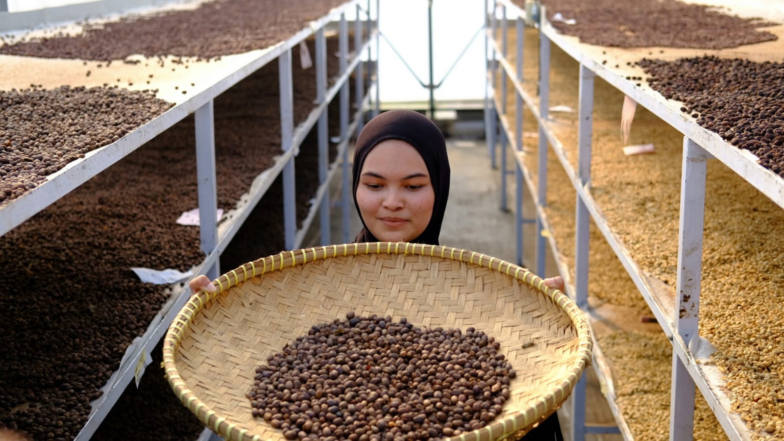 100 Tahun Panas Bumi Indonesia, Inovasi PGE Hadirkan Secangkir Kopi dari Perut Bumi 2 IMG 20260627 WA0004