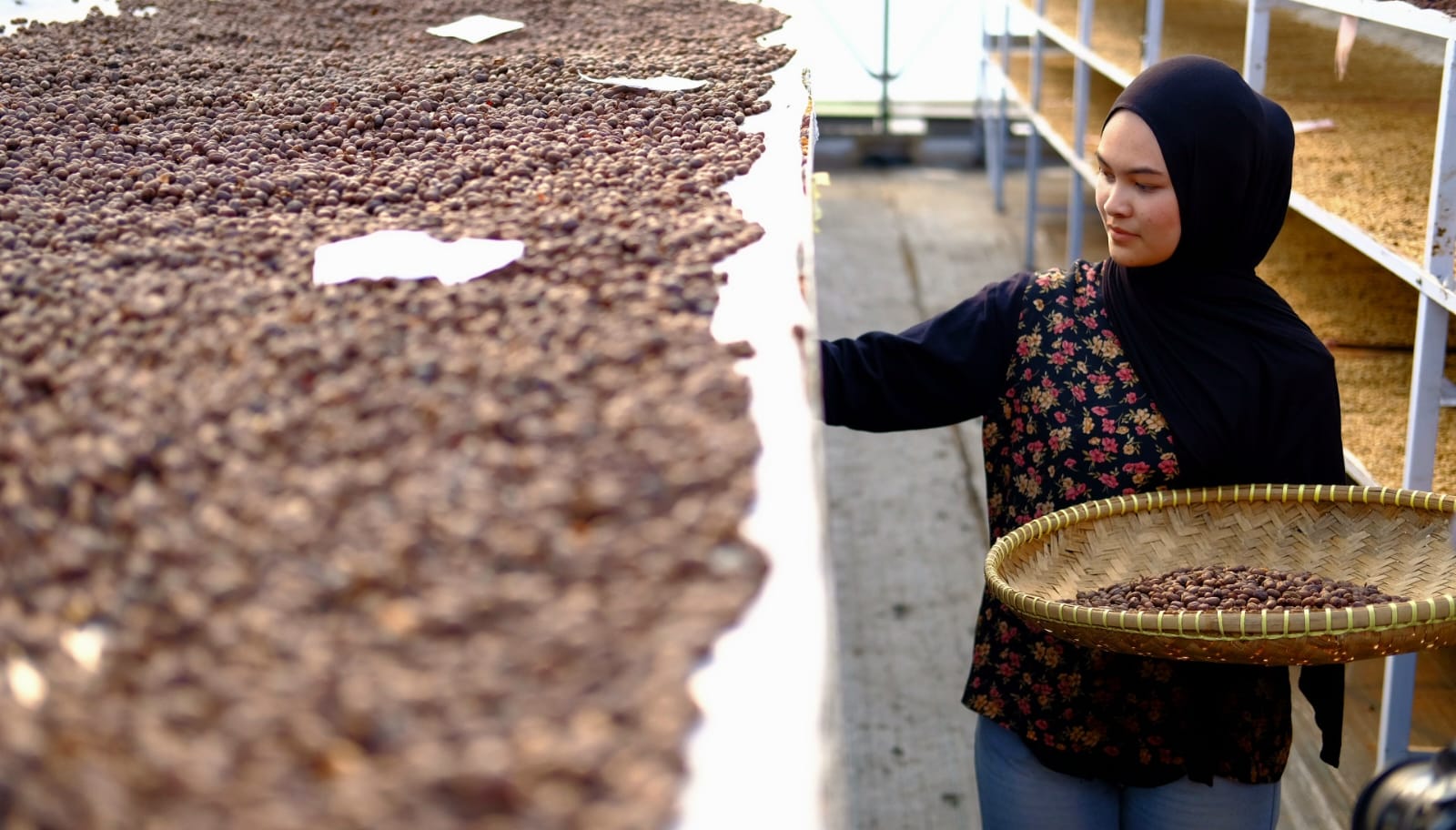 100 Tahun Panas Bumi Indonesia, Inovasi PGE Hadirkan Secangkir Kopi dari Perut Bumi 5 IMG 20260627 WA0006