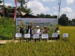 Panen Raya Demplot Aplikasi Pemupukan Berimbang Tanaman Padi di Kabupaten Toraja Utara, Sulawesi Selatan.