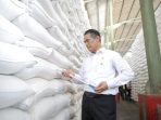 Mentan Andi Amran Sulaiman saat meninjau gudang beras Bulog. (Foto: Ist)