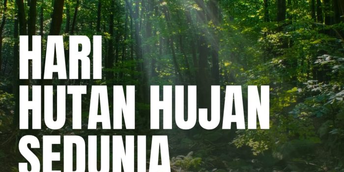 Hari Hutan Hujan Sedunia