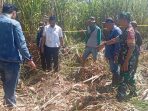 Petugas mendatangi lokasi penemuan tengkorak manusia. (Foto: Ist)