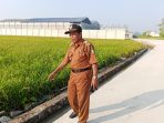 Jupri, Kades Gambiran ketika menunjukkan jalan beton.(teguh)