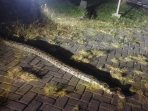 Ular piton ukuran jumbo diamankan dari komplesk Ponpes Qomaruddin, Bungah, Gresik. Ular piton ukuran jumbo diamankan dari komplesk Ponpes Qomaruddin, Bungah, Gresik.