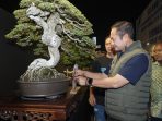 Bupati Lamongan Yuhronur Efendi saat meninjau Pameran dan Kontes Bonsai 2026.