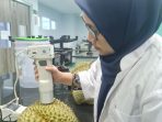 Mahasiswa S3 Unej Aulia saat menggunakan alat AI untuk mengecek kematangan buah durian. (Foto: Ist)