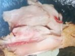 Tampak ayam kurang matang salah satu olahan SPPG sekargalih yang bertepat di Singogalih, Kecamatan Tarik, Sidoarjo. (Foto: Ist)
