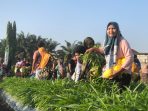 Antusias warga saat panen sayur dan buah segar di Petro Agrifood Expo 2026 yang digelar Petrokimia Gresik.