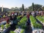 Pesta Rakyat( Panen Bersama Masyarakat) dalam rangkaian Petro Agrifood Expo 2026 di Kebun Percobaan Petrokimia Gresik. Pesta Rakyat( Panen Bersama Masyarakat) dalam rangkaian Petro Agrifood Expo 2026 di Kebun Percobaan Petrokimia Gresik.