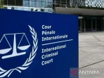 ICJ.jpg