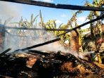 IMG-20260720-WA0017 Petugas Damkarmat Nganjuk saat berjibaku memadamkan sisa-sisa api yang menghanguskan kandang milik warga di Desa Mojorembun, Rejoso.