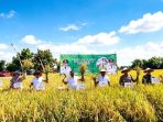 Panen raya padi di areal lumbung pangan Kabupaten Nganjuk. Dinas Pertanian Kabupaten Nganjuk mencatat produksi Gabah Kering Panen (GKP) hingga Triwulan II 2026 tumbuh 11,57 persen atau mencapai 348.442 ton