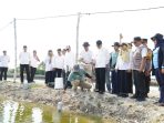 Bupati Lamongan Yuhronur Efendi meninjau penerapan IoT di Kampung Kerapu. Bupati Lamongan Yuhronur Efendi meninjau penerapan IoT di Kampung Kerapu.