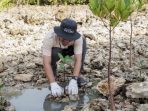 Insan Petrokimia Gresik saat menanam bibit mangrove di kawasan Pusat Restorasi dan Penanaman Mangrove (PRPM) Mengare, Desa Tanjungwidoro, Kecamatan Bungah, Gresik. (Foto: Ist/Komkor PG)